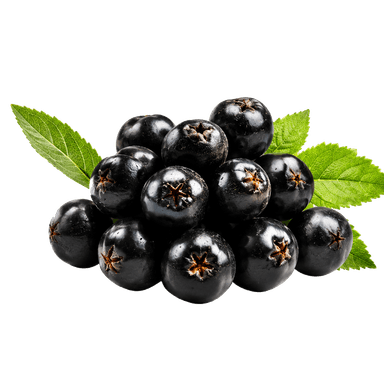Aronia
